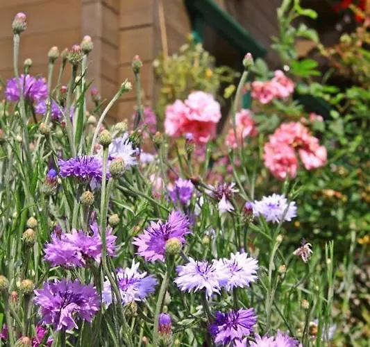 Frühstückspension Hubert Fiegl Sölden